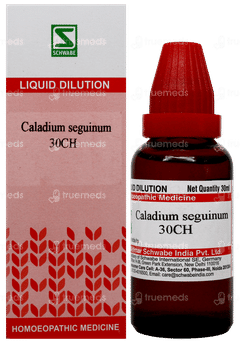 Dr Willmar Schwabe Caladium Seguinum 30Ch Dilution 30Ml